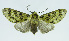  ( - INB0004107271)  @14 [ ] CreativeCommons - Attribution Non-Commercial No Derivatives (2011) Alex Smith University of Guelph