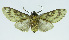  ( - INB0004107271)  @14 [ ] CreativeCommons - Attribution Non-Commercial No Derivatives (2011) Alex Smith University of Guelph