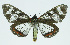  ( - INB0004107278)  @13 [ ] CreativeCommons - Attribution Non-Commercial No Derivatives (2011) Alex Smith University of Guelph