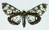  ( - INB0004117607)  @14 [ ] CreativeCommons - Attribution Non-Commercial No Derivatives (2011) Alex Smith University of Guelph