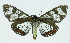  ( - INB0004117607)  @13 [ ] CreativeCommons - Attribution Non-Commercial No Derivatives (2011) Alex Smith University of Guelph
