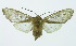  ( - INB0004121602)  @13 [ ] Copyright (2010) A. Solis Instituto Nacional de Biodiversidad