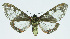  ( - INB0004137568)  @12 [ ] CreativeCommons - Attribution Non-Commercial No Derivatives (2011) Alex Smith University of Guelph