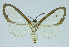  ( - INB0004137981)  @12 [ ] CreativeCommons - Attribution Non-Commercial No Derivatives (2011) Alex Smith University of Guelph