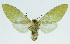  ( - INB0004152270)  @13 [ ] CreativeCommons - Attribution Non-Commercial No Derivatives (2011) Alex Smith University of Guelph