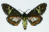 ( - INB0004157640)  @13 [ ] CreativeCommons - Attribution Non-Commercial No Derivatives (2011) Alex Smith University of Guelph