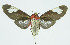  ( - INB0004158789)  @13 [ ] CreativeCommons - Attribution Non-Commercial No Derivatives (2011) Alex Smith University of Guelph