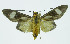  ( - INB0004161096)  @14 [ ] CreativeCommons - Attribution Non-Commercial No Derivatives (2011) Alex Smith University of Guelph