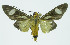  ( - INB0004161097)  @13 [ ] CreativeCommons - Attribution Non-Commercial No Derivatives (2011) Alex Smith University of Guelph