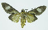  ( - INB0004161097)  @13 [ ] CreativeCommons - Attribution Non-Commercial No Derivatives (2011) Alex Smith University of Guelph