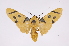  ( - INB0004162524)  @14 [ ] Copyright (2012) B. Espinoza Instituto Nacional de Biodiversidad