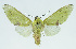  ( - INB0004163106)  @14 [ ] CreativeCommons - Attribution Non-Commercial No Derivatives (2011) Alex Smith University of Guelph