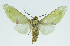 ( - INB0004163106)  @13 [ ] CreativeCommons - Attribution Non-Commercial No Derivatives (2011) Alex Smith University of Guelph
