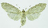  ( - INB0004164713)  @13 [ ] CreativeCommons - Attribution Non-Commercial No Derivatives (2011) Alex Smith University of Guelph