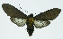  ( - INB0004166147)  @12 [ ] CreativeCommons - Attribution Non-Commercial No Derivatives (2011) Alex Smith University of Guelph