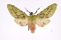  ( - INB0004169940)  @14 [ ] Copyright (2012) B. Espinoza Instituto Nacional de Biodiversidad