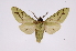  ( - INB0004169940)  @13 [ ] Copyright (2012) B. Espinoza Instituto Nacional de Biodiversidad