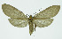  ( - INB0004169998)  @13 [ ] CreativeCommons - Attribution Non-Commercial No Derivatives (2011) Alex Smith University of Guelph