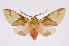  ( - INB0004173229)  @14 [ ] Copyright (2012) B. Espinoza Instituto Nacional de Biodiversidad