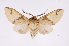 ( - INB0004173229)  @14 [ ] Copyright (2012) B. Espinoza Instituto Nacional de Biodiversidad