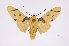  ( - INB0004174819)  @14 [ ] Copyright (2012) B. Espinoza Instituto Nacional de Biodiversidad