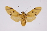  ( - INB0004174850)  @13 [ ] Copyright (2012) B. Espinoza Instituto Nacional de Biodiversidad