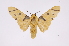  ( - INB0004174929)  @14 [ ] Copyright (2012) B. Espinoza Instituto Nacional de Biodiversidad