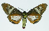  ( - INB0004175204)  @13 [ ] CreativeCommons - Attribution Non-Commercial No Derivatives (2011) Alex Smith University of Guelph