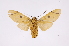  ( - INB0004178329)  @13 [ ] Copyright (2012) B. Espinoza Instituto Nacional de Biodiversidad