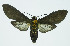  ( - INB0004182753)  @12 [ ] CreativeCommons - Attribution Non-Commercial No Derivatives (2011) Alex Smith University of Guelph