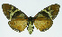  ( - INB0004188012)  @14 [ ] CreativeCommons - Attribution Non-Commercial No Derivatives (2011) Alex Smith University of Guelph
