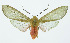  ( - INB0004188199)  @13 [ ] Copyright (2010) A. Solis Instituto Nacional de Biodiversidad