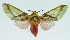  ( - INB0004189433)  @14 [ ] CreativeCommons - Attribution Non-Commercial No Derivatives (2011) Alex Smith University of Guelph