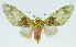  ( - INB0004191587)  @14 [ ] CreativeCommons - Attribution Non-Commercial No Derivatives (2011) Alex Smith University of Guelph