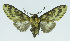  ( - INB0004204389)  @12 [ ] CreativeCommons - Attribution Non-Commercial No Derivatives (2011) Alex Smith University of Guelph