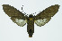  ( - INB0004205687)  @12 [ ] CreativeCommons - Attribution Non-Commercial No Derivatives (2011) Alex Smith University of Guelph