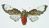  ( - INB0004207288)  @13 [ ] CreativeCommons - Attribution Non-Commercial No Derivatives (2011) Alex Smith University of Guelph