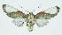  ( - INB0004207288)  @12 [ ] CreativeCommons - Attribution Non-Commercial No Derivatives (2011) Alex Smith University of Guelph