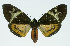  ( - INB0004210192)  @14 [ ] CreativeCommons - Attribution Non-Commercial No Derivatives (2011) Alex Smith University of Guelph