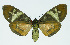  ( - INB0004210192)  @13 [ ] CreativeCommons - Attribution Non-Commercial No Derivatives (2011) Alex Smith University of Guelph