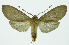  ( - INB0004210746)  @14 [ ] CreativeCommons - Attribution Non-Commercial No Derivatives (2011) Alex Smith University of Guelph