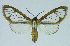  ( - INB0004210754)  @14 [ ] CreativeCommons - Attribution Non-Commercial No Derivatives (2011) Alex Smith University of Guelph