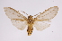  ( - INB0004224023)  @13 [ ] Copyright (2012) B. Espinoza Instituto Nacional de Biodiversidad