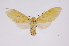  ( - INB0004224057)  @14 [ ] Copyright (2012) B. Espinoza Instituto Nacional de Biodiversidad