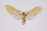  ( - INB0004224057)  @13 [ ] Copyright (2012) B. Espinoza Instituto Nacional de Biodiversidad