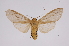  ( - INB0004239339)  @13 [ ] Copyright (2012) B. Espinoza Instituto Nacional de Biodiversidad