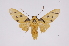  ( - INB0004243331)  @14 [ ] Copyright (2012) B. Espinoza Instituto Nacional de Biodiversidad