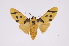  ( - INB0004243332)  @14 [ ] Copyright (2012) B. Espinoza Instituto Nacional de Biodiversidad