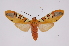  ( - INB0004243335)  @14 [ ] Copyright (2012) B. Espinoza Instituto Nacional de Biodiversidad