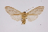  ( - INB0004249246)  @12 [ ] Copyright (2012) B. Espinoza Instituto Nacional de Biodiversidad